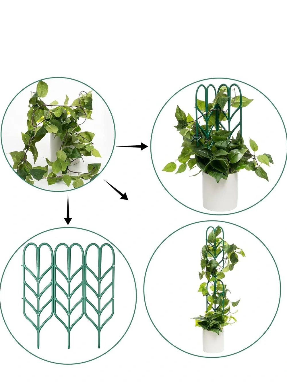 Green Plant Support Trellis for Indoor Vines - Unbranded